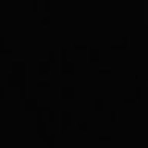 Meet your Posher, Aleena